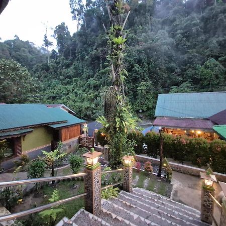 Sam'S Bungalows And Treks Bukit Lawang Exteriör bild