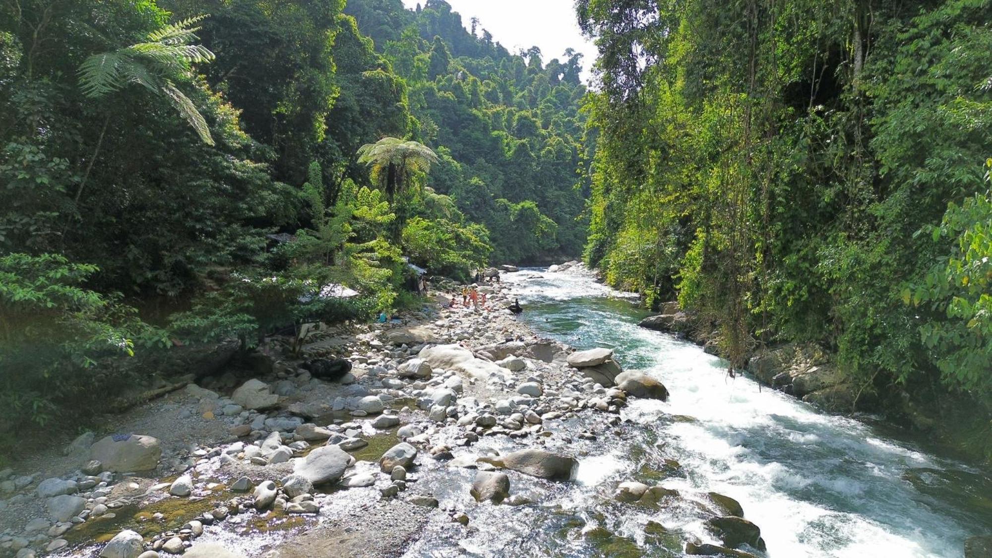 Sam'S Bungalows And Treks Bukit Lawang Exteriör bild